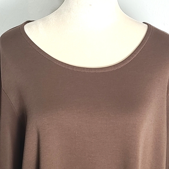 Blair Brown Top with 3/4 Ruffle Sleeves, Size 2X - Picture 3 of 8